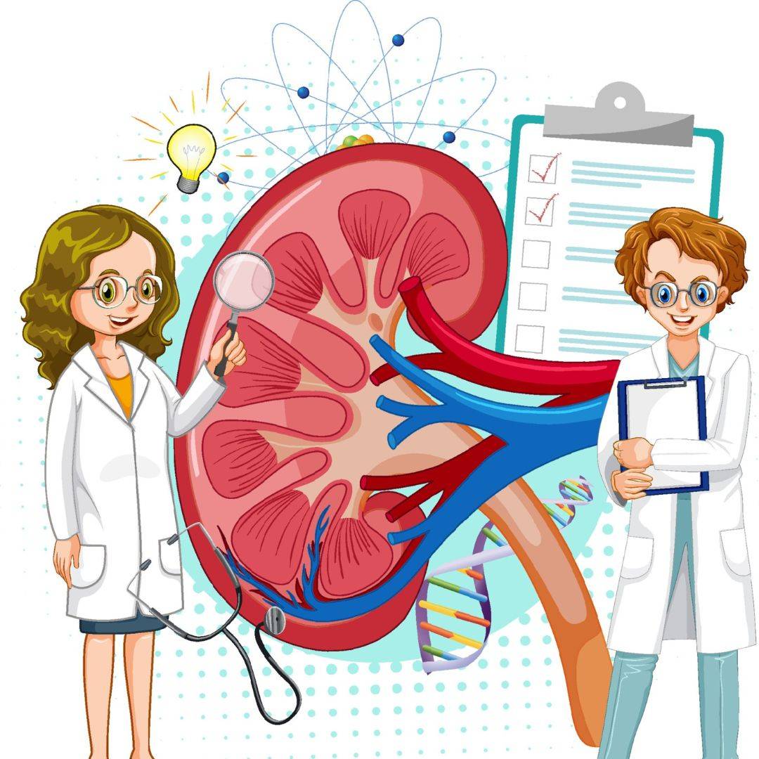 kidney-health