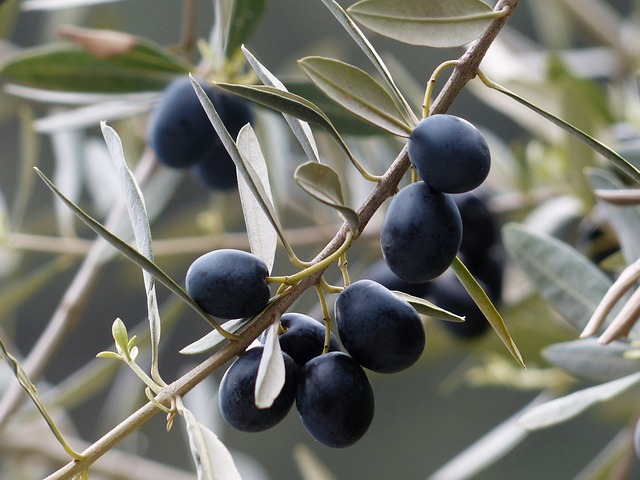 black-olives